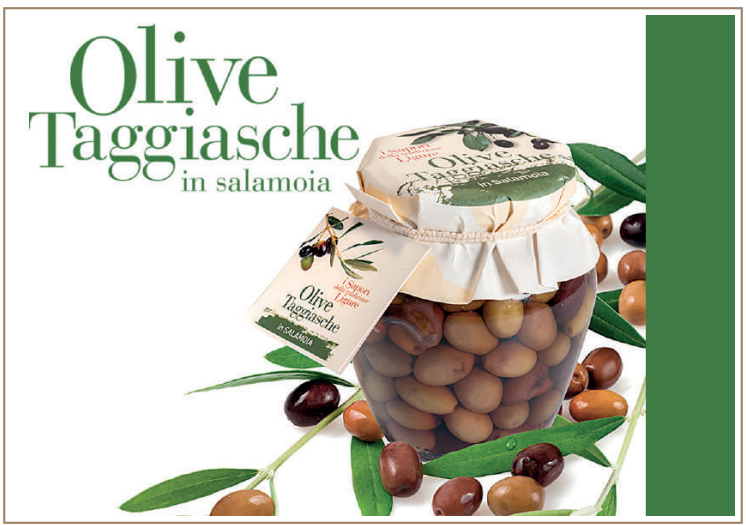 Olive Taggiasche